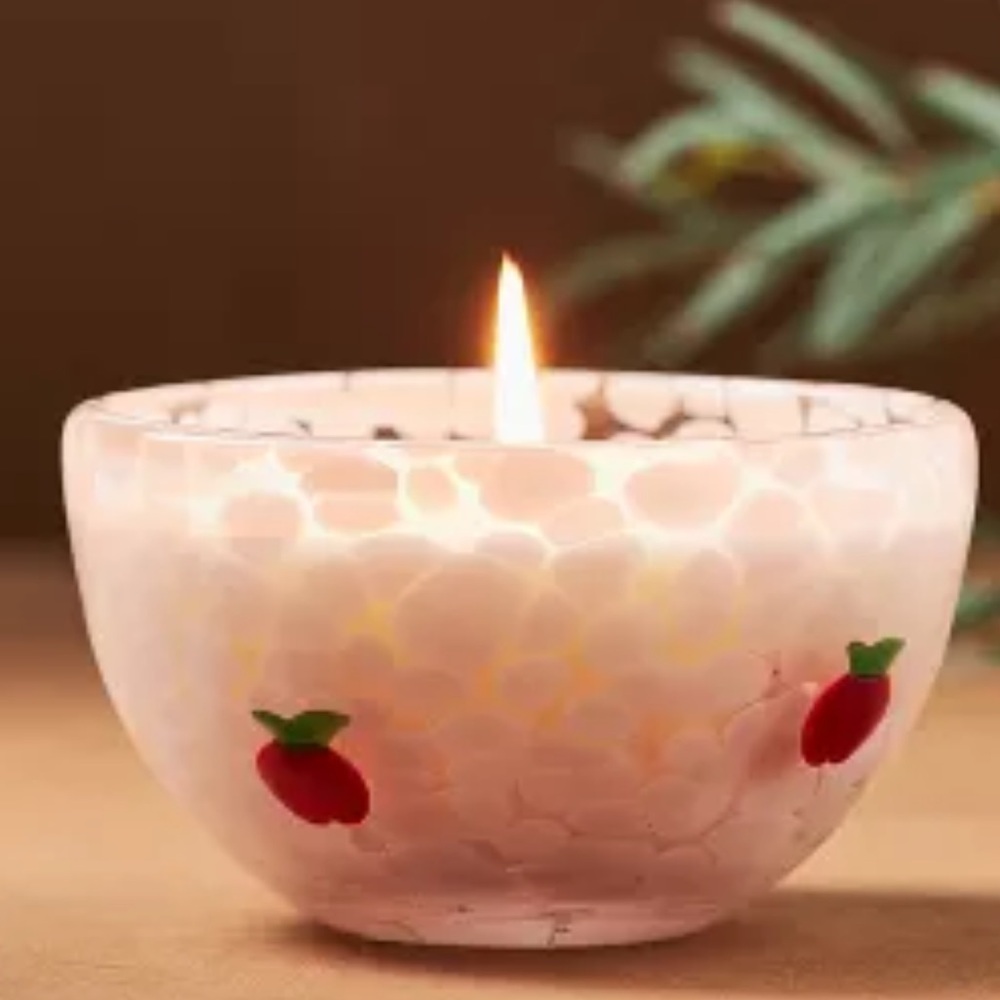 Anthropologie ICON GOURMAND CARAMEL APPLE CINNAMON GLASS CANDLE
